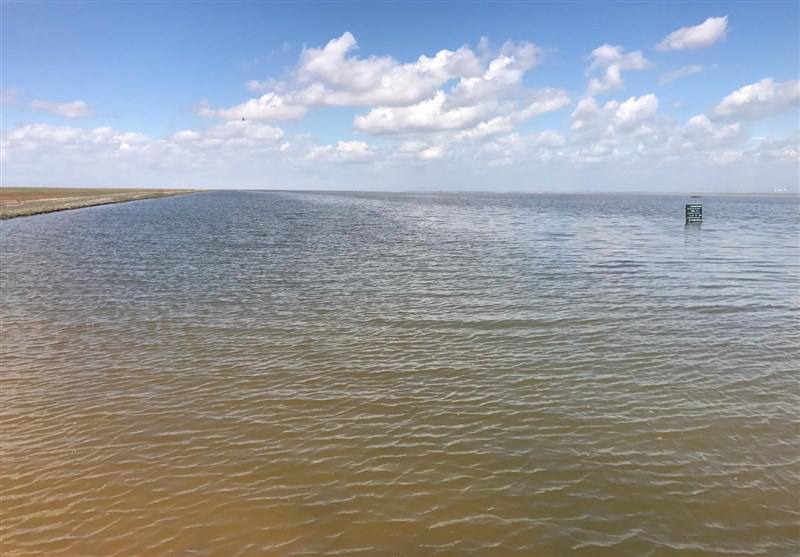 احیای تالاب الله&zwnj;آباد قزوین در مسیر عملیاتی شدن