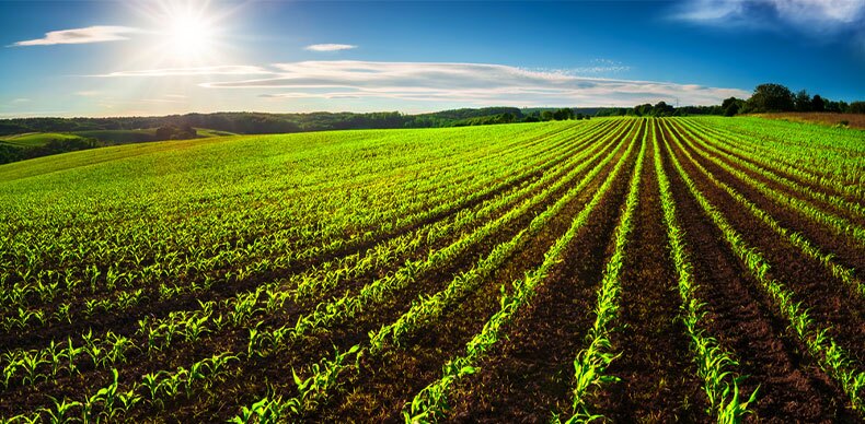 توزیع عادلانه نهاده&zwnj;های کشاورزی در هشت شهرستان استان