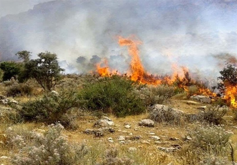 فعال شدن ۶ کانون آتش در جنگل&zwnj;های هیرکانی گلستان/ درخواست بالگرد اطفای حریق